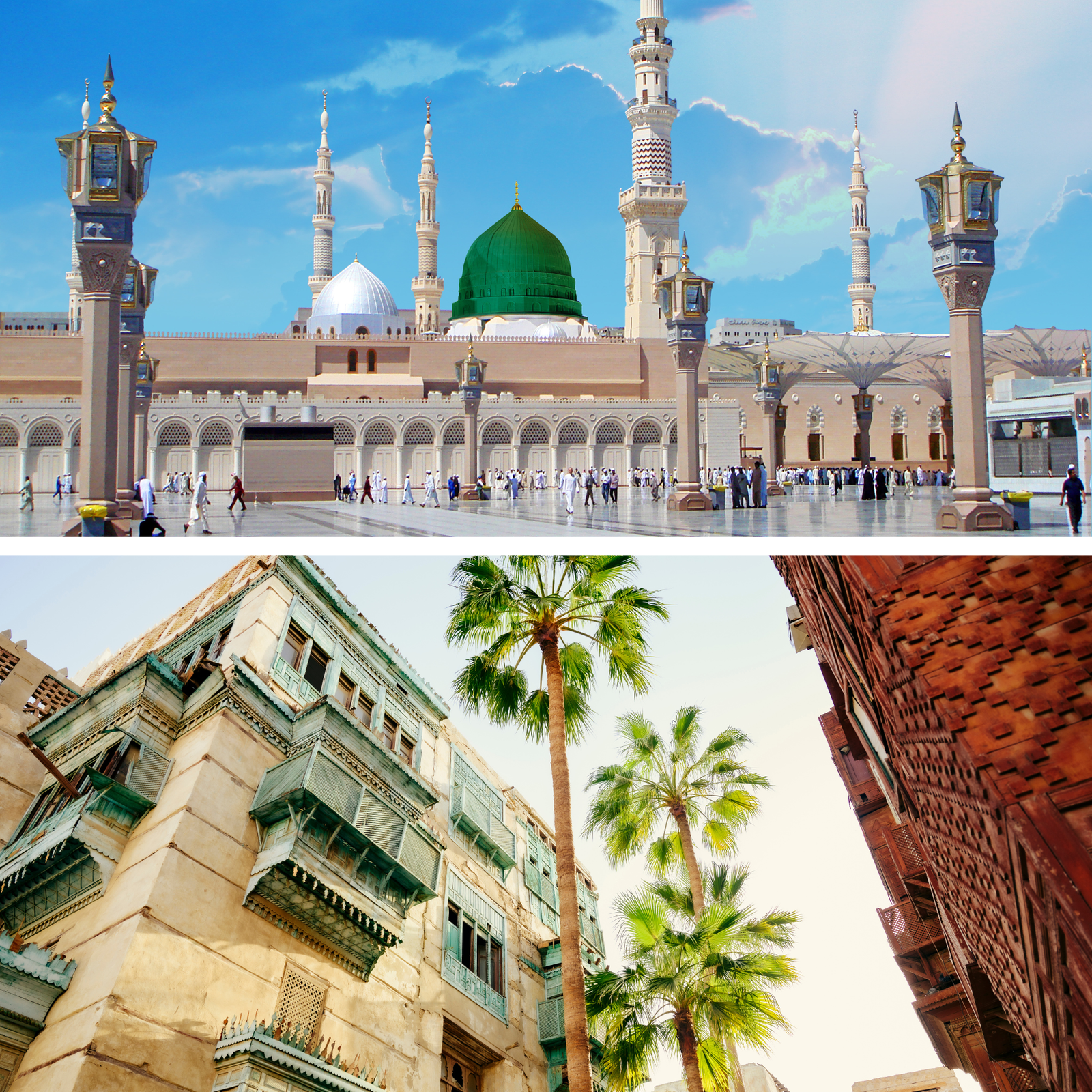 المدينة ↔ جدة